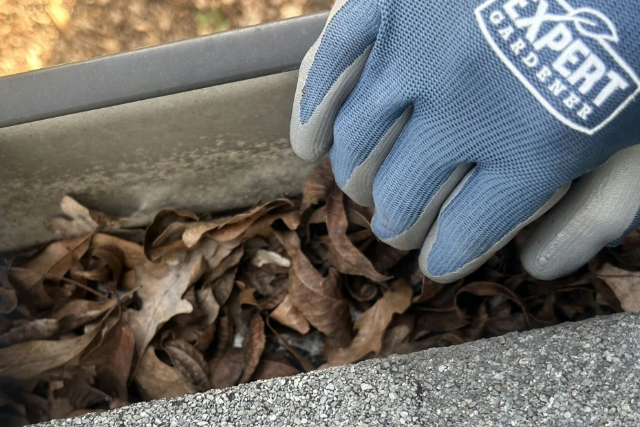 Gutter Cleaning Tarpon Springs FL