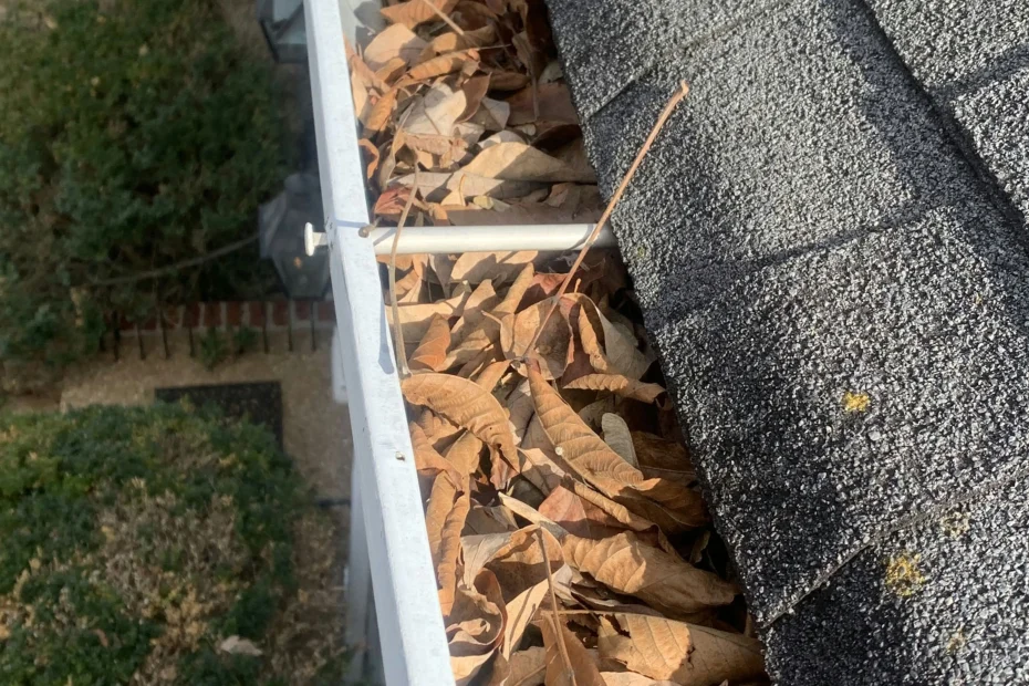 Gutter Cleaning Tarpon Springs FL