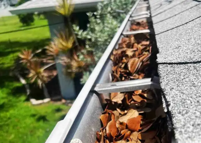 Gutter Cleaning Tarpon Springs FL home page